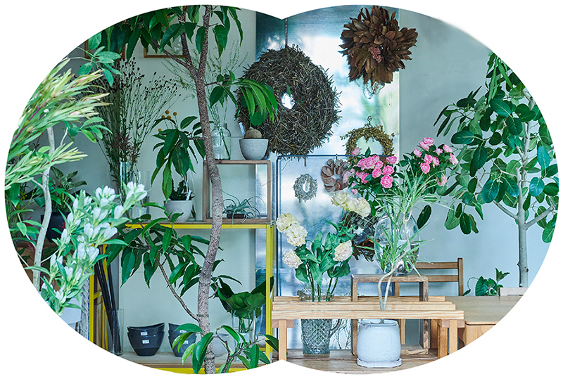 花あそび春音 大阪吹田市にある花 植物の店