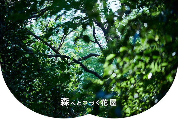 花あそび春音 大阪吹田市にある花 植物の店